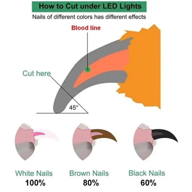 LED Pet Nail Clippers for Dogs and Cats