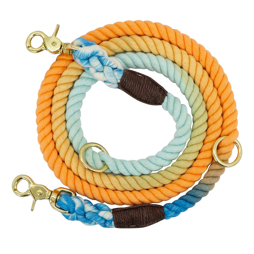 Gradient Dog Leash and Collar Set