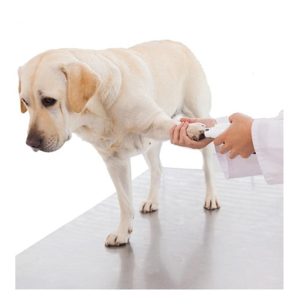 Rechargeable Pet Nail Grinder for Dogs and Cats