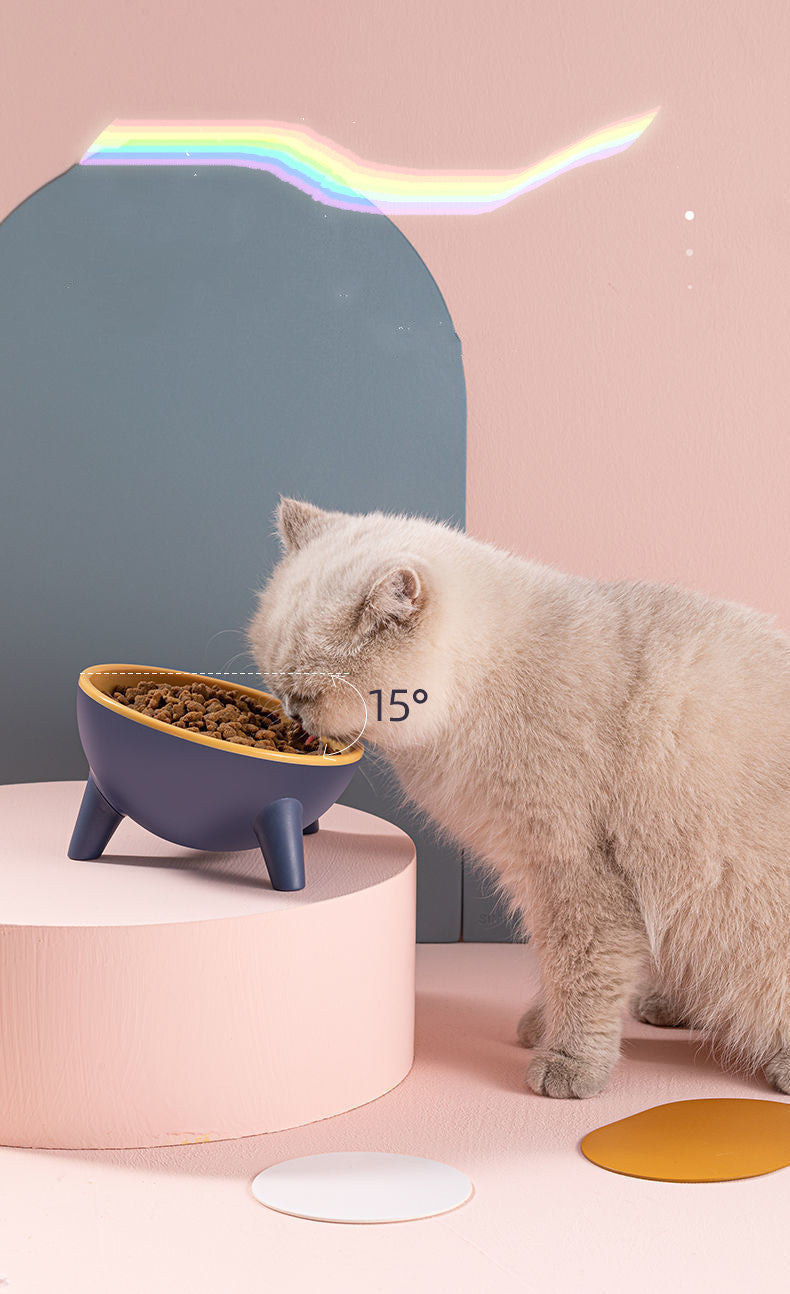 Cat and Dog Feeding Bowls