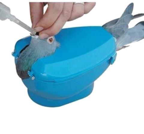 Racing Pigeon Medicine Feeder