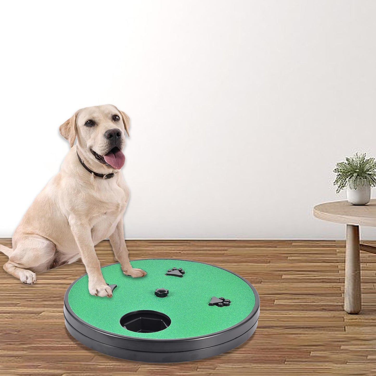 Dog Nail File Board with Suction Cup