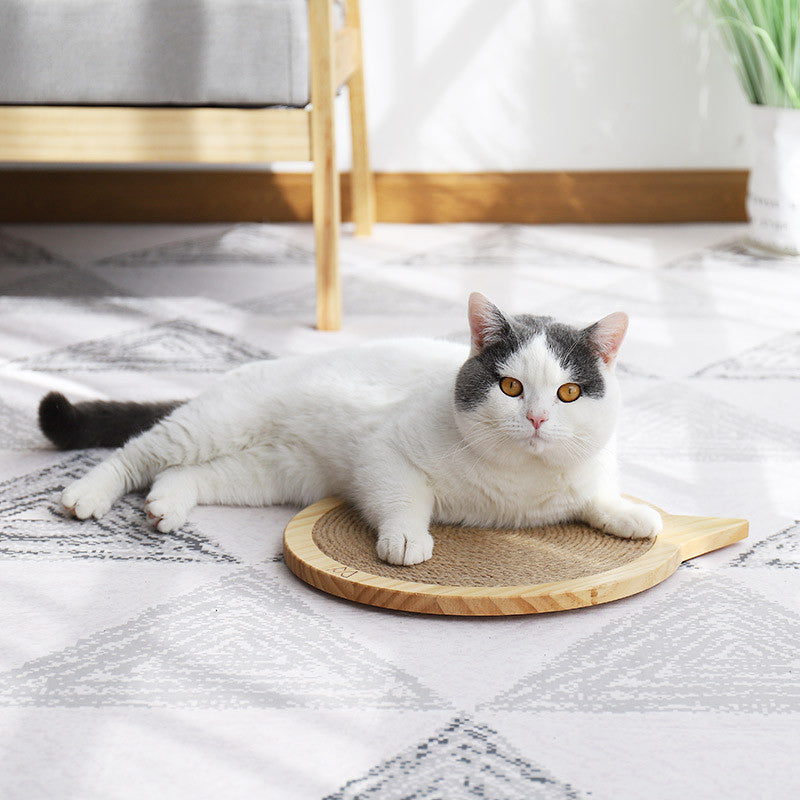 Wall Mounted Scratcher Pad with Suction Cup Toy