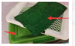 Dog Cleaning Tool Grid Lawn Flat Toilet