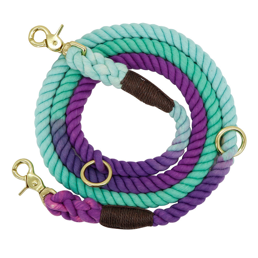 Gradient Dog Leash and Collar Set