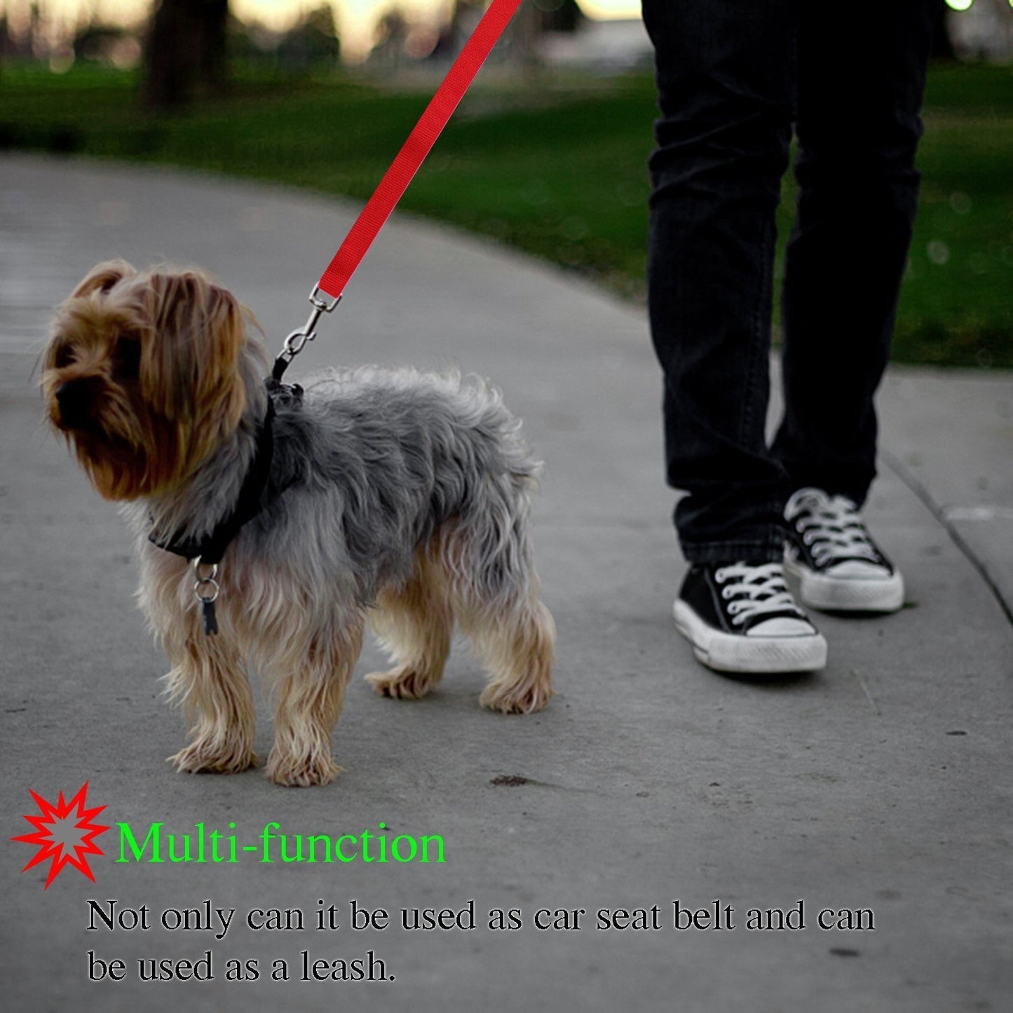 Adjustable pet safety seat belt for car travel