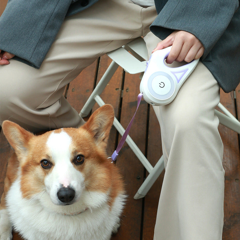 Retractable Dog Leash with Collar for Small and Medium Dogs