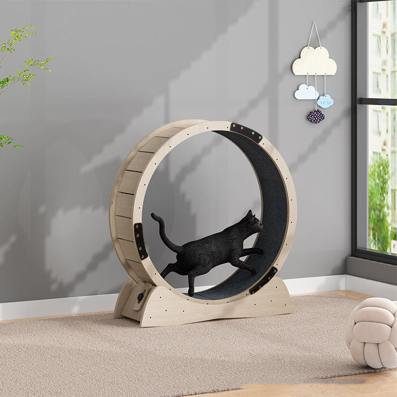 Cat Silent Treadmill Roller