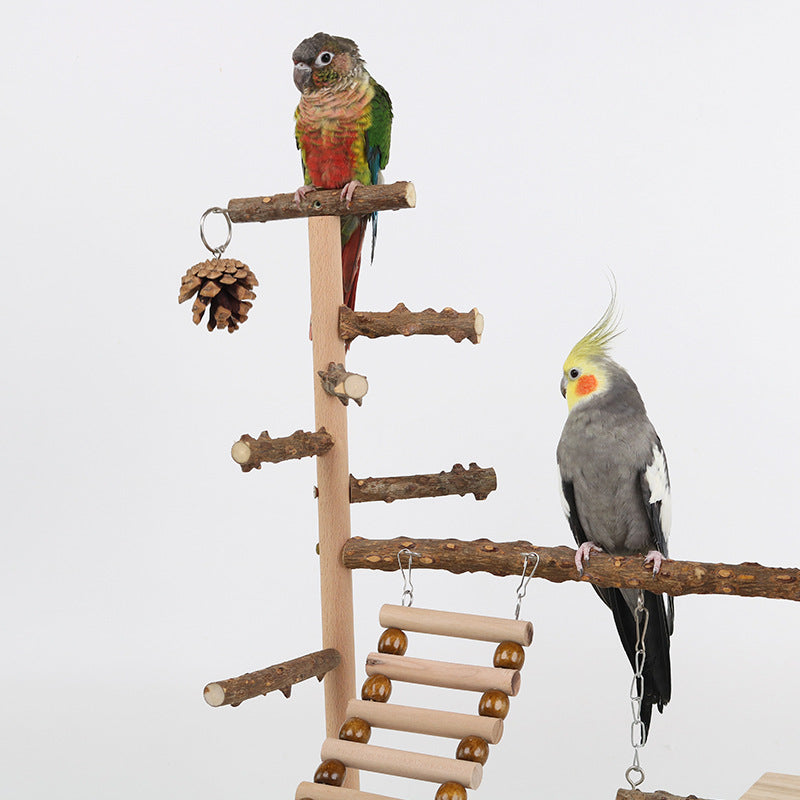 Parrot Climbing Training Toy