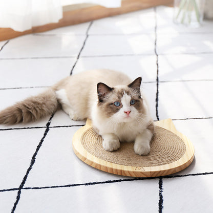 Wall Mounted Scratcher Pad with Suction Cup Toy