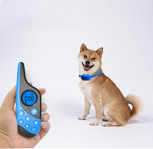 Rechargeable