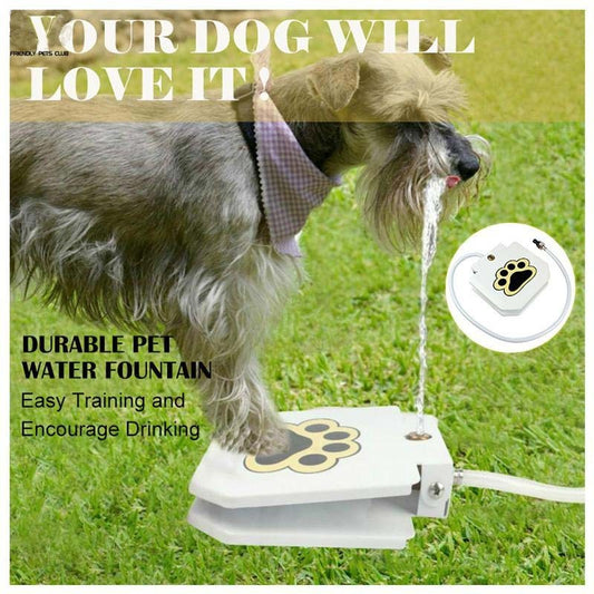 Automatic Pet Water Fountain
