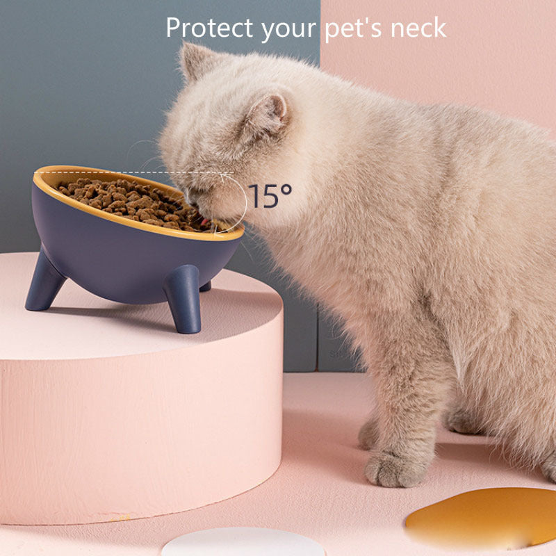 Cat and Dog Feeding Bowls