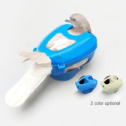 Racing Pigeon Medicine Feeder
