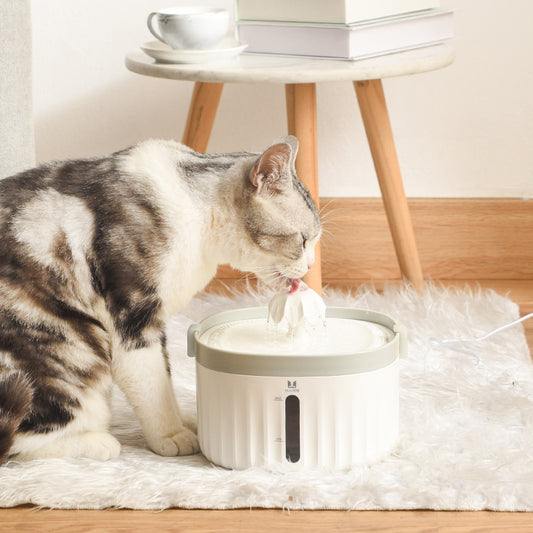 Automatic Pet Water Dispenser
