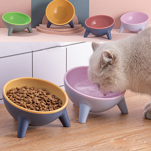 Cat and Dog Feeding Bowls