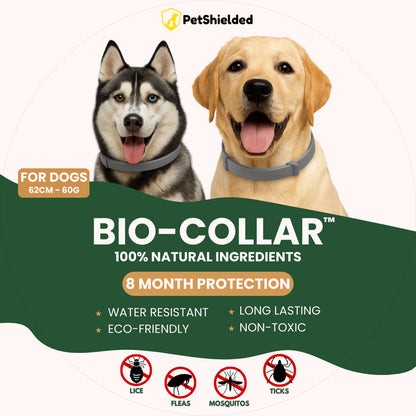 Adjustable pet insect collar
