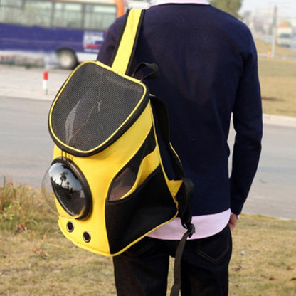 Astronaut Backpack