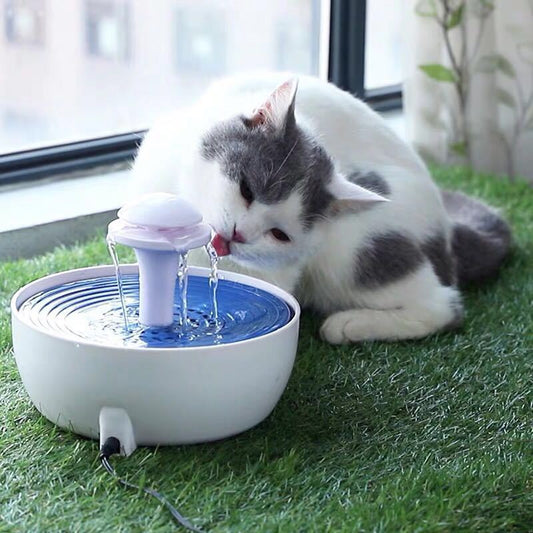 Circulating Water Fountains