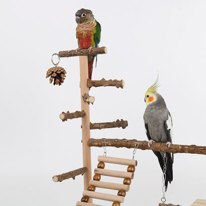 Parrot Climbing Training Toy