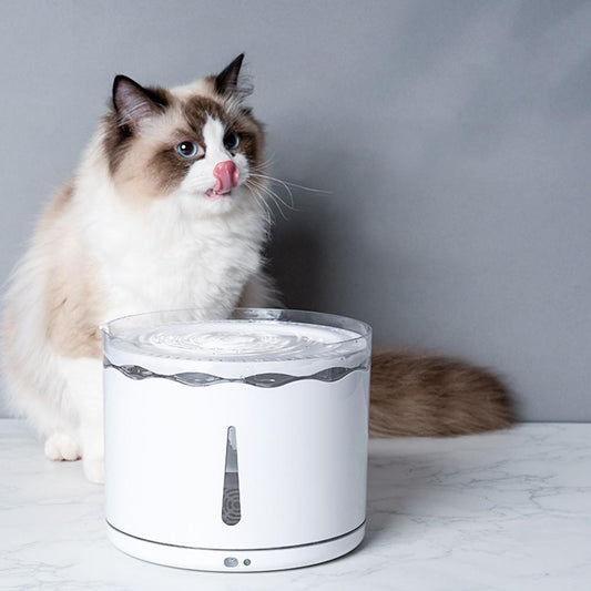Automatic Cat Water Fountain with Filter