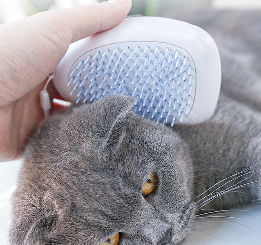 Cat Deshedding Brush