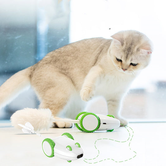 Automatic Interactive Cat Toy with Feather